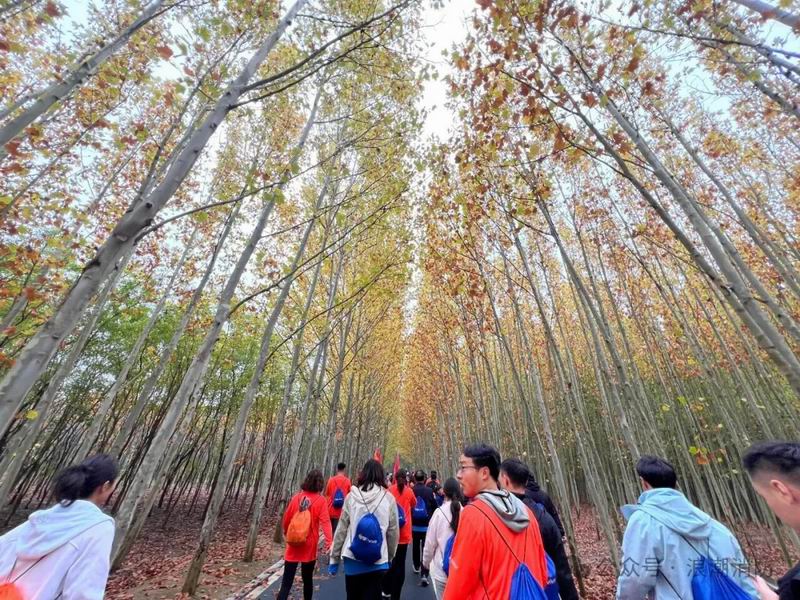 1761880564460233.jpg 640_wx_fmt=jpeg&from=appmsg&watermark=1&tp=webp&wxfrom=5&wx_lazy=1 (10).jpg